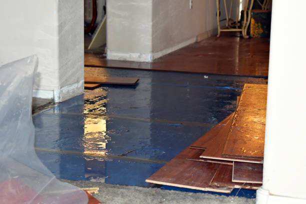 Professional Water Extraction technician working in Honor, MI